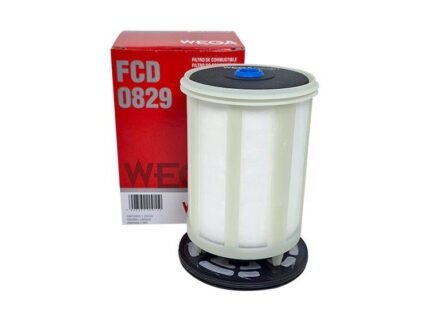 F. GAS OIL DUCATO 2.2 2024