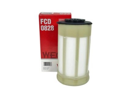 F. GAS OIL DUCATO 2024